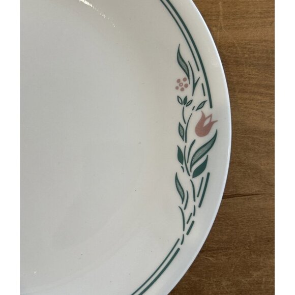Set of 6 Corning CORELLE Rosemarie 10 1/4" Dinner Plates Tulip Pink Green - Picture 3 of 4